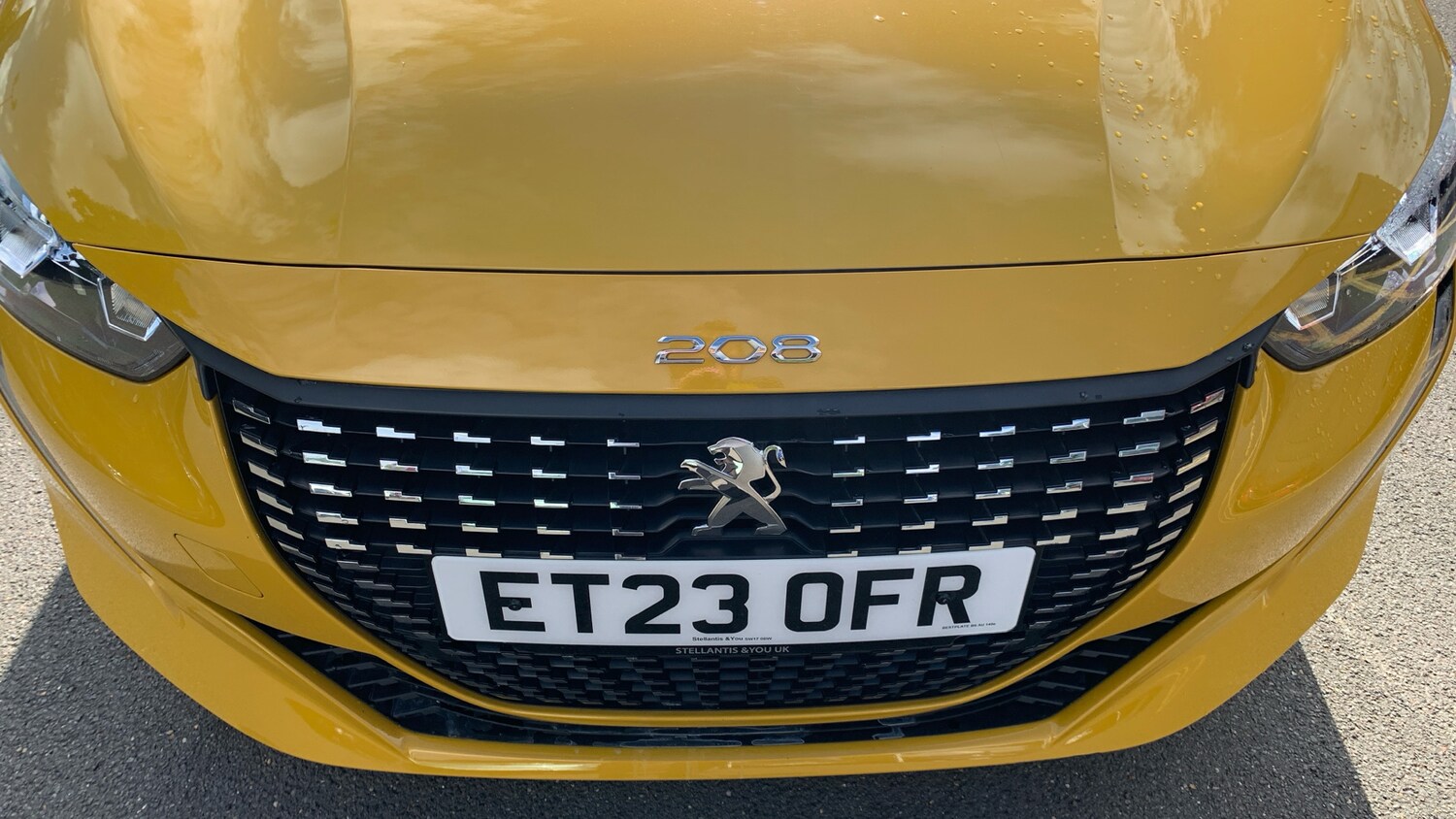 Vehicle 44