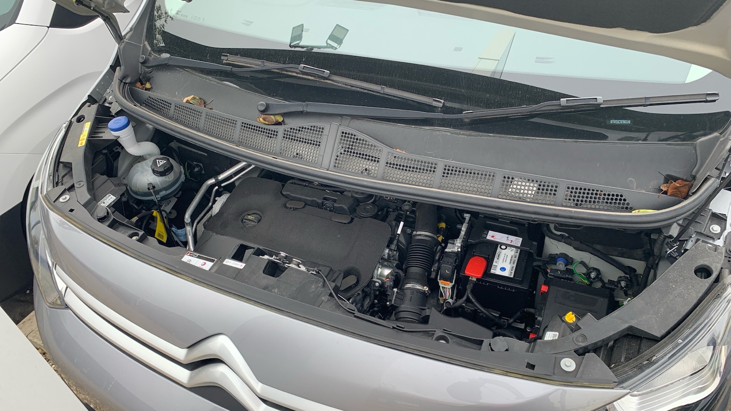 Used Citroen Dispatch 2024 for sale - 76315612: Photo 18