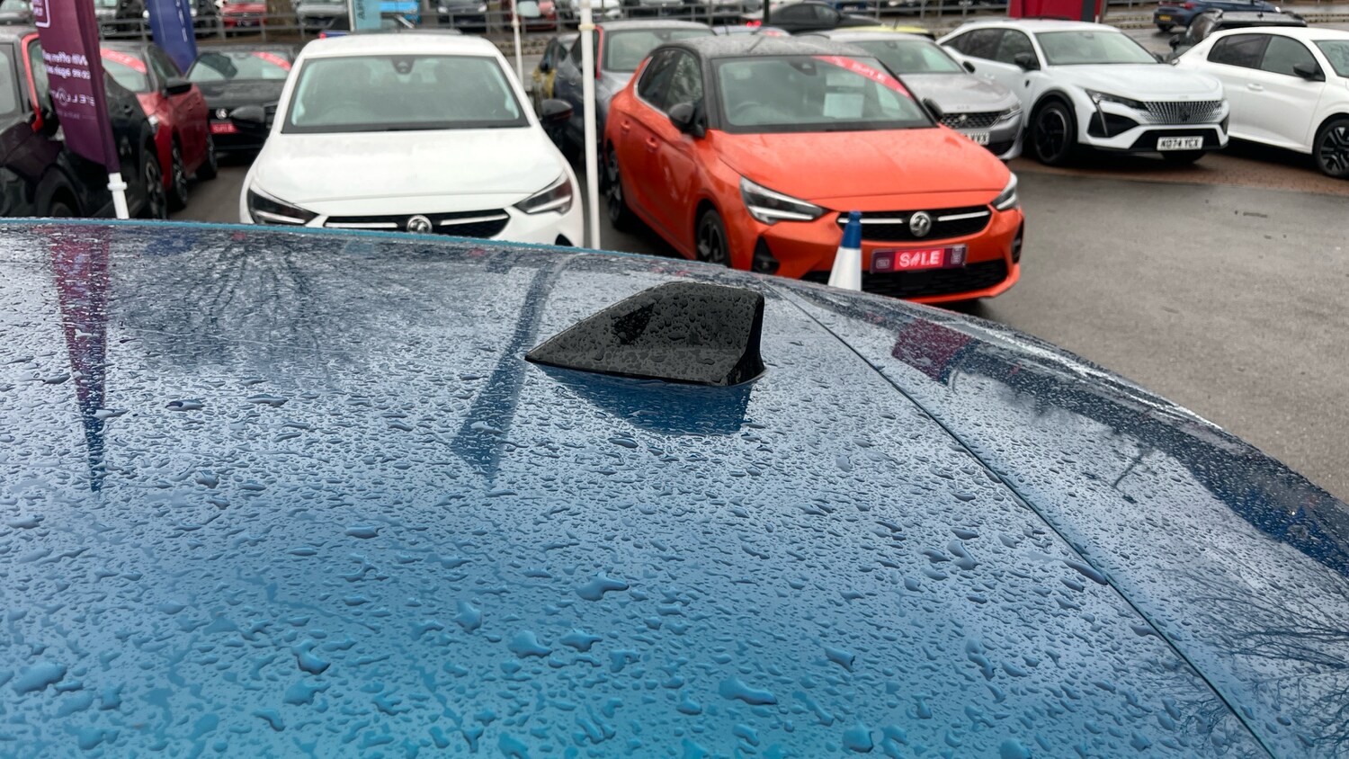 Used Peugeot 308 2025 for sale - 77176149: Photo 48