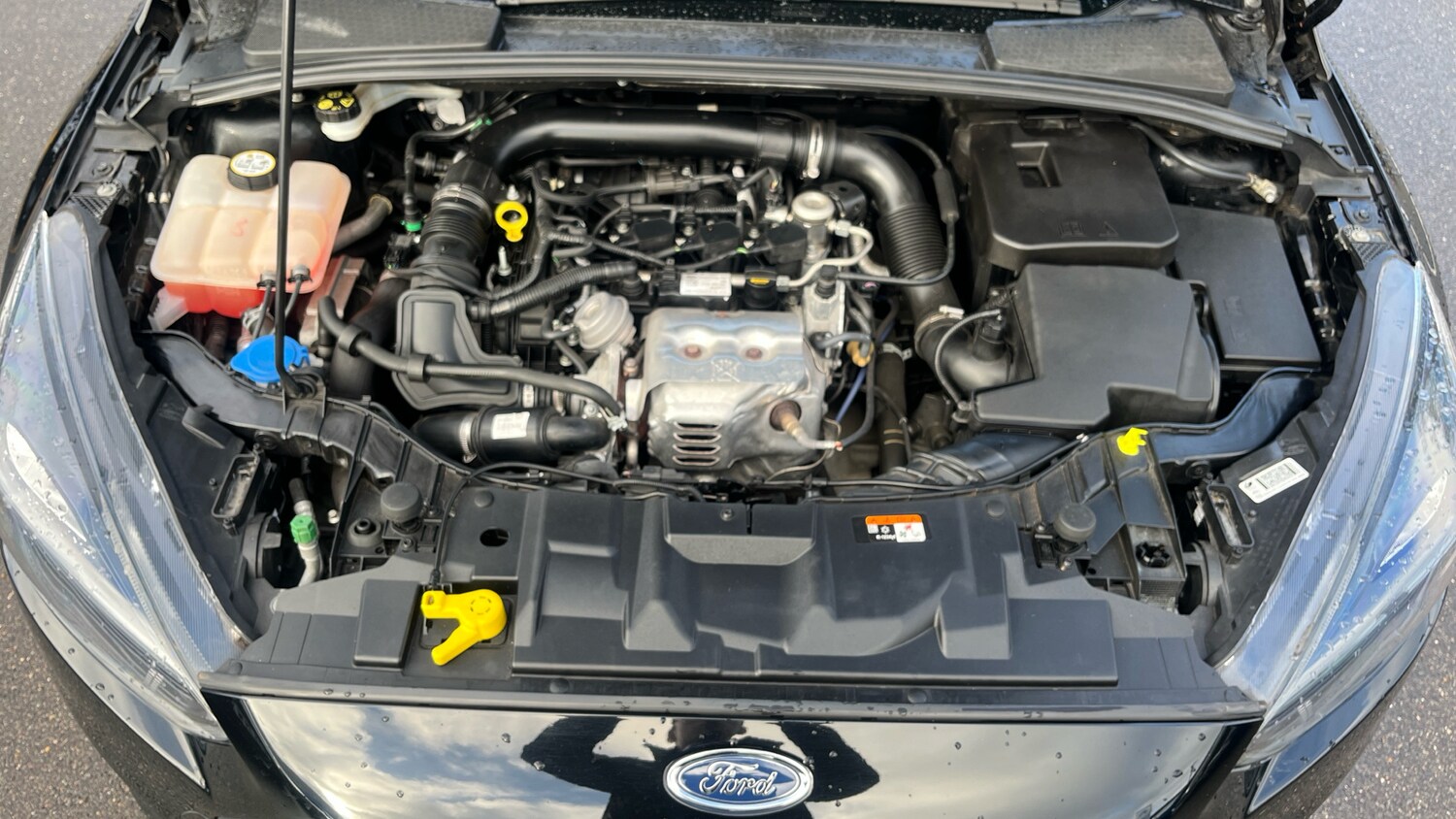 Used Ford Focus 2017 for sale - 77359769: Photo 18