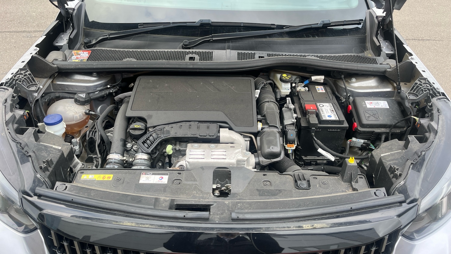 Used Peugeot 2008 2023 for sale - 77388270: Photo 18