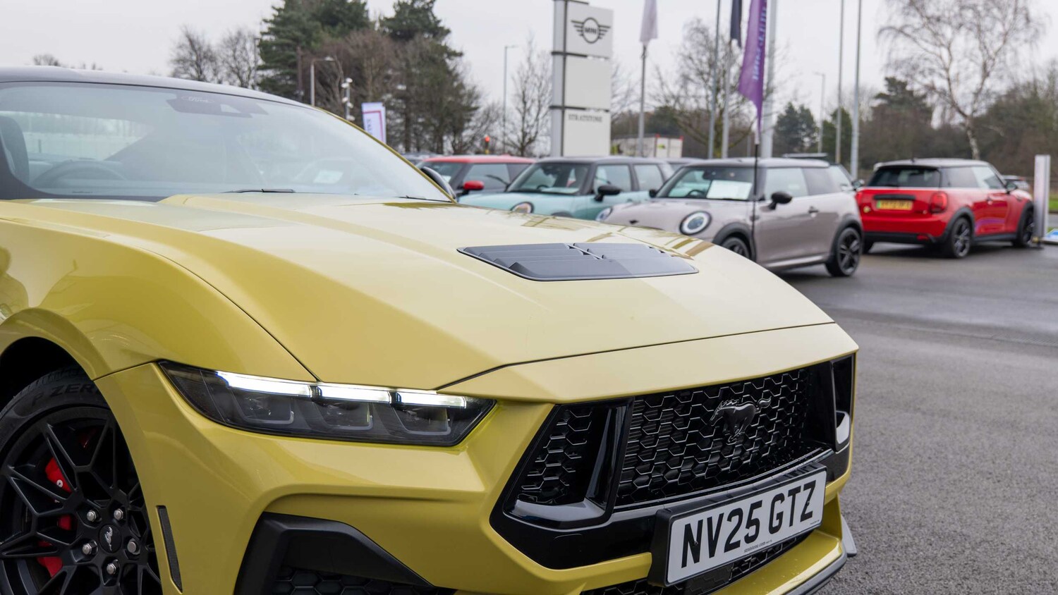 Used Ford Mustang 2025 for sale - 77458465: Photo 23