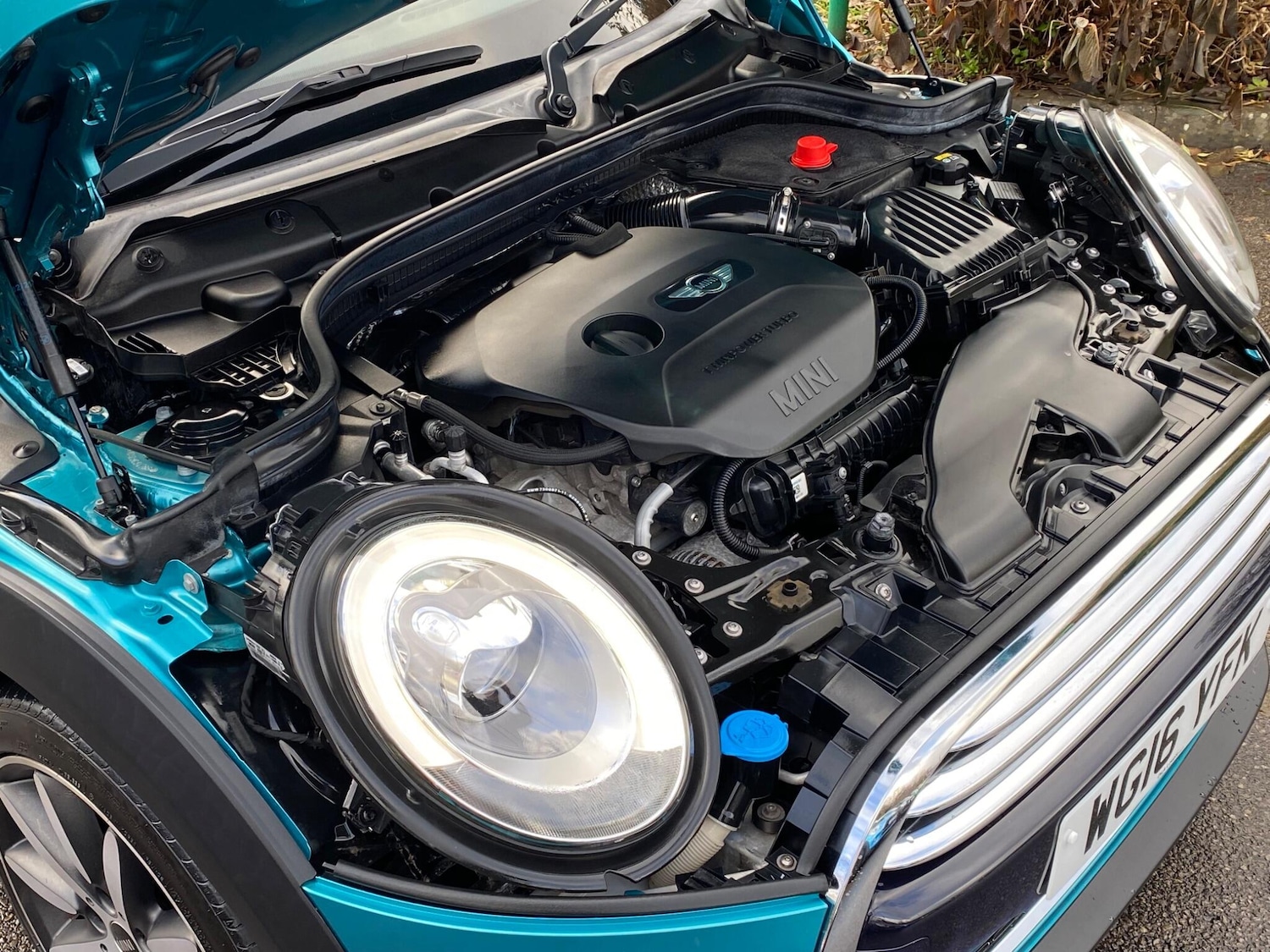 Used MINI Convertible 2016 for sale - 76850532: Photo 15