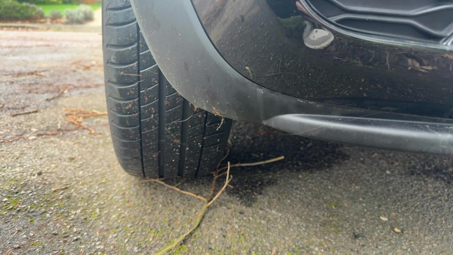 Used MINI Convertible 2019 for sale - 77267937: Photo 9