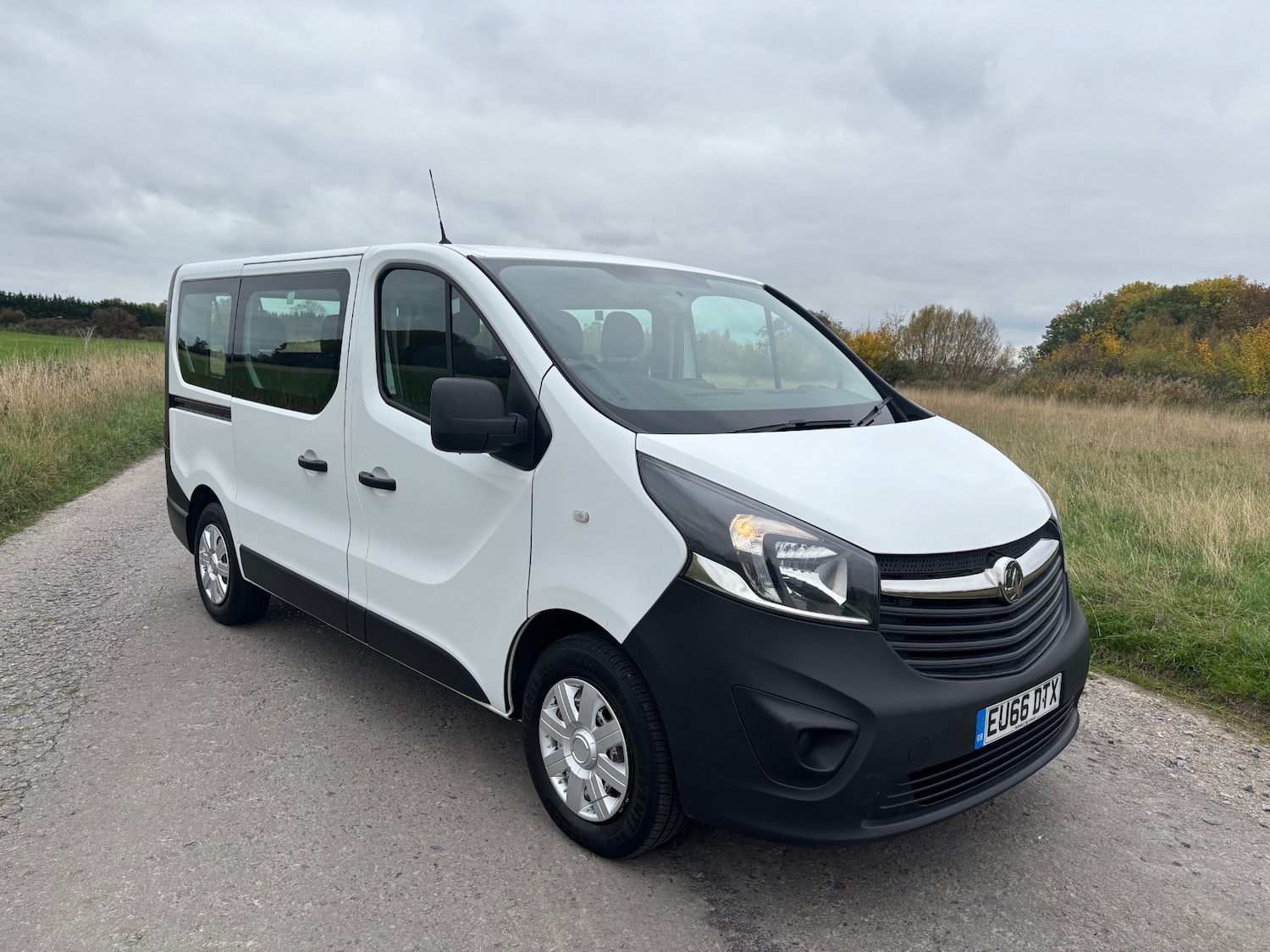Used Vauxhall Vivaro 2016 for sale - 76289190: Photo 1