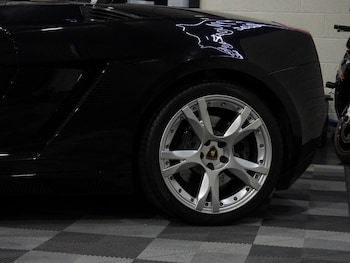 Used Lamborghini Gallardo 2008 for sale - 77521241: Photo