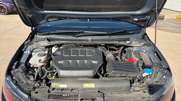 Used Volkswagen Polo 2024 for sale - 76074456: Photo 16