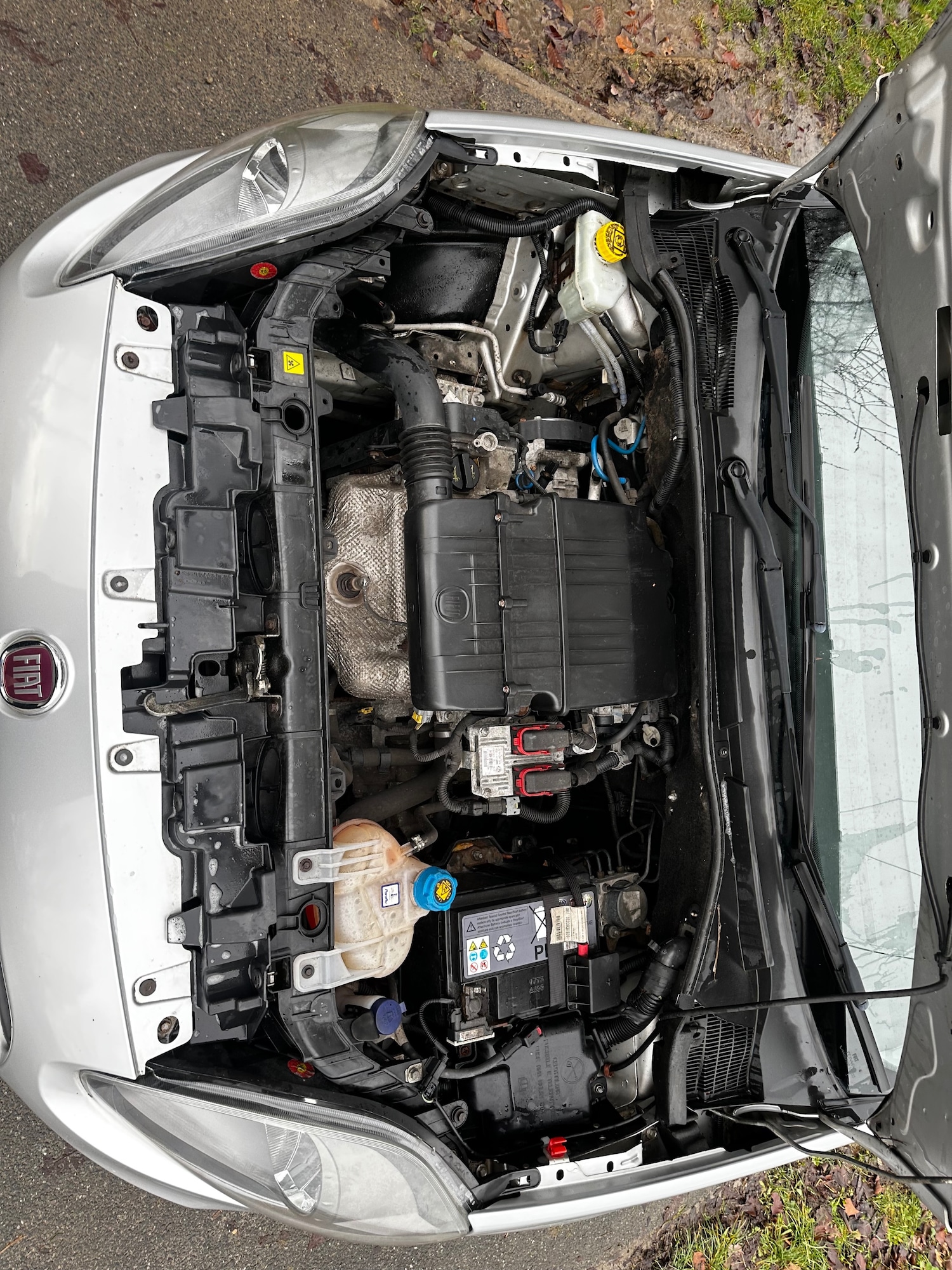 Used Fiat Punto 2013 for sale - 76877403: Photo 22