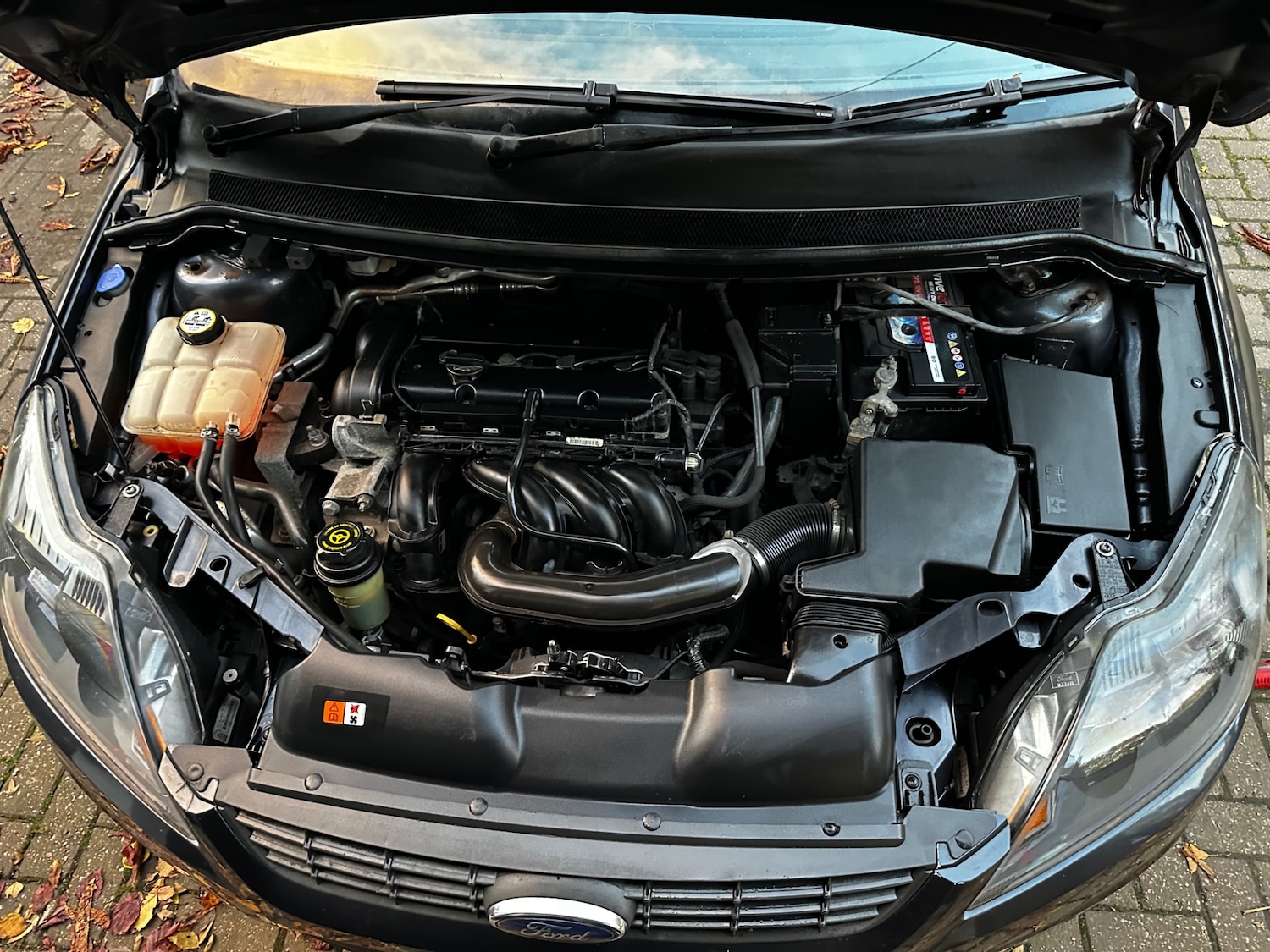 Used Ford Focus 2009 for sale - 76445350: Photo 32