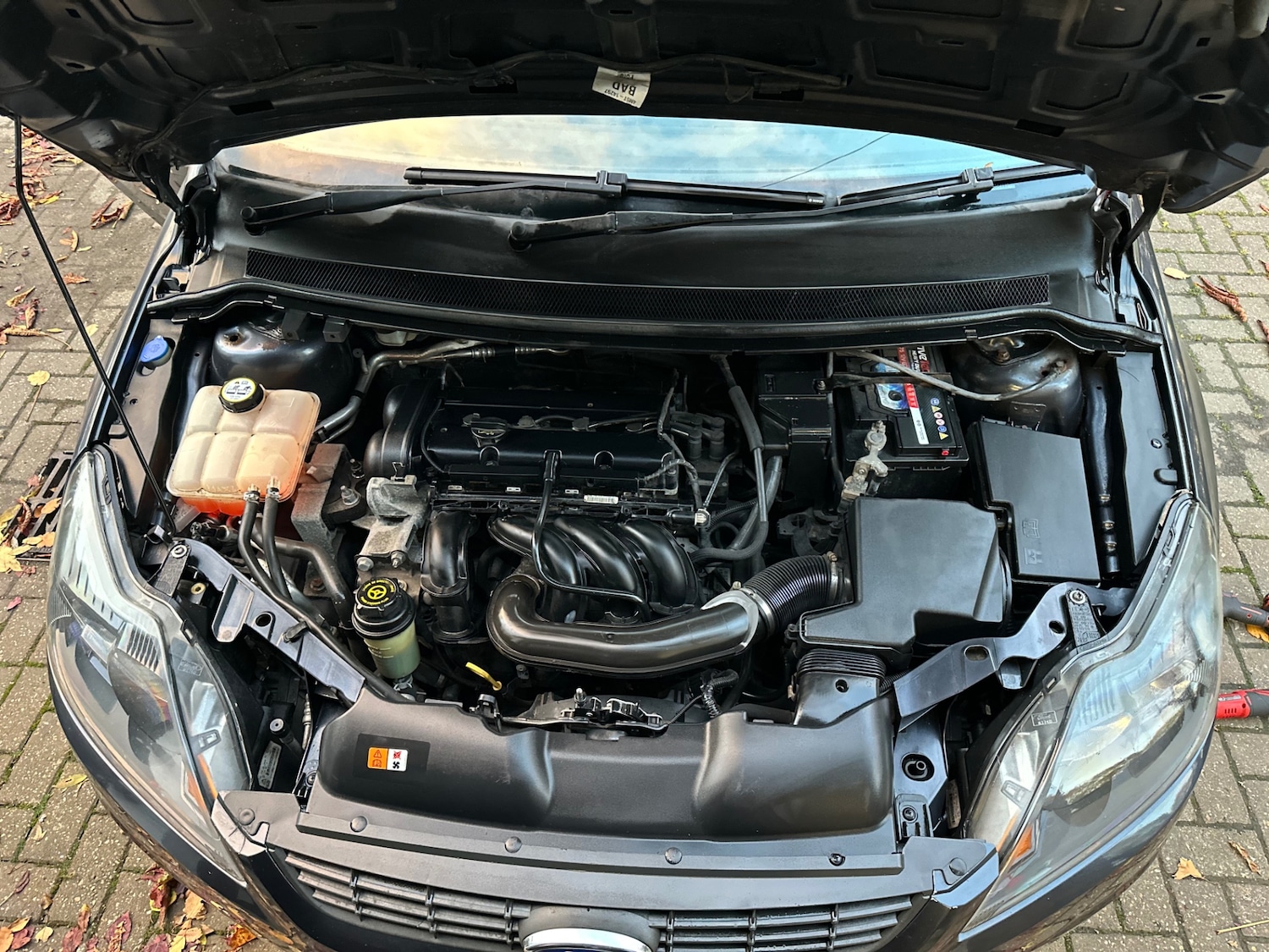 Used Ford Focus 2009 for sale - 76445350: Photo 33