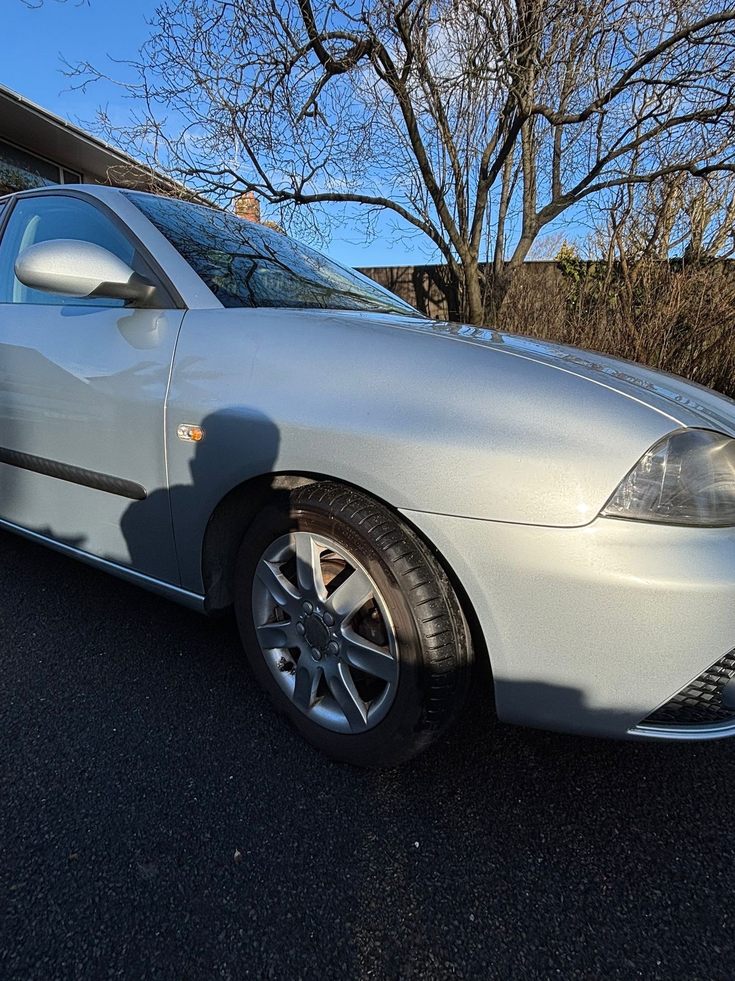 Used SEAT Ibiza 2006 for sale - 77310893: Photo 7