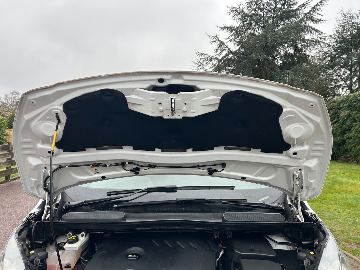 Used Ford Transit Connect 2015 for sale - 77595632: Photo 14