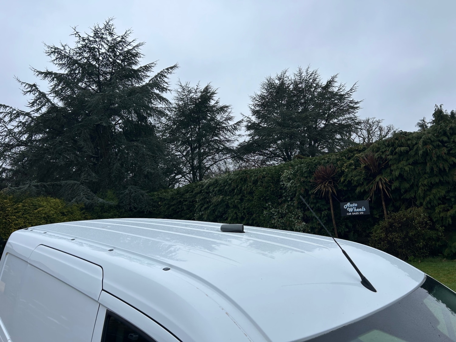 Used Ford Transit Connect 2015 for sale - 77595632: Photo 9