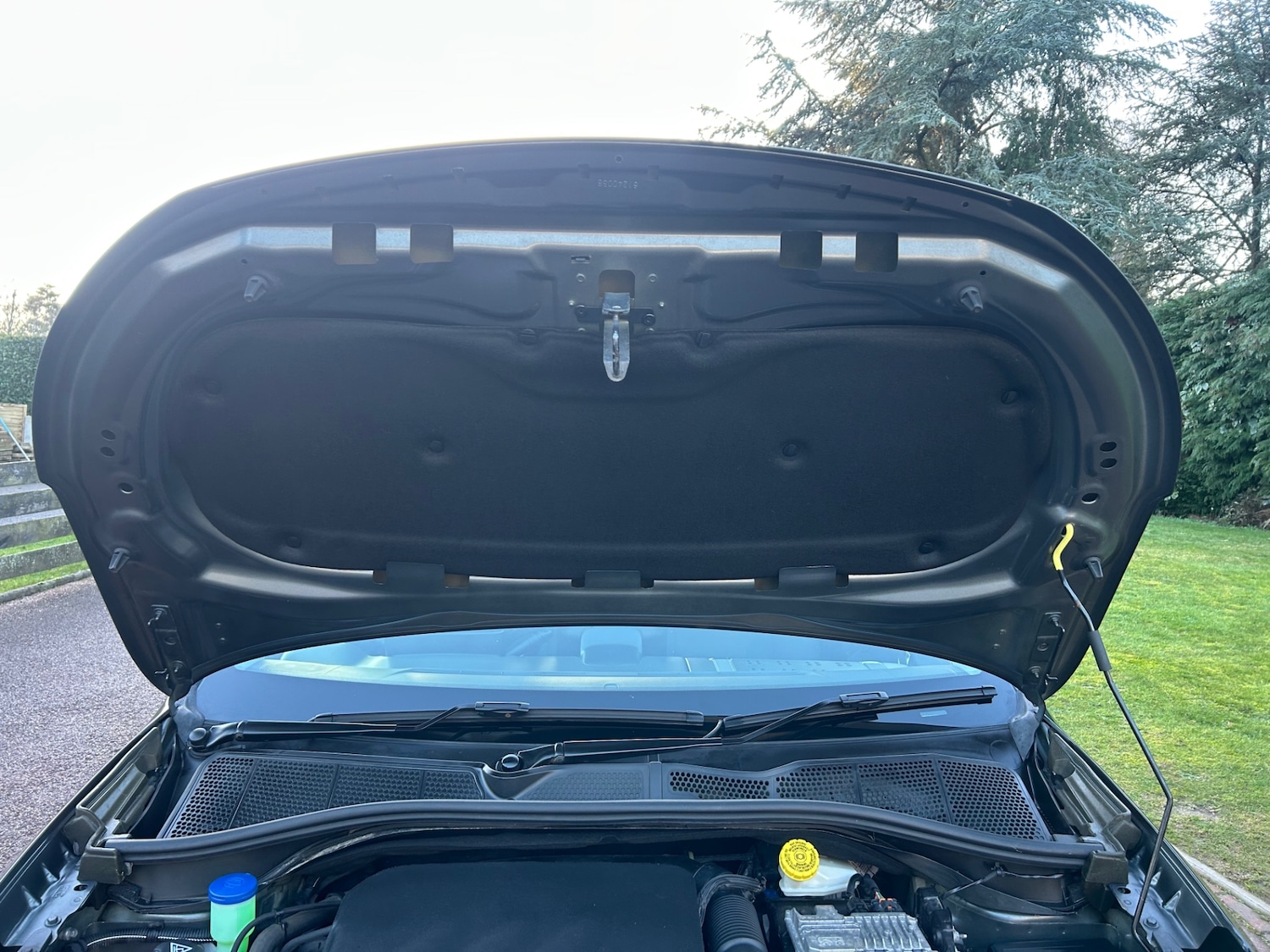 Used Citroen C4 Cactus 2016 for sale - 77371065: Photo 14