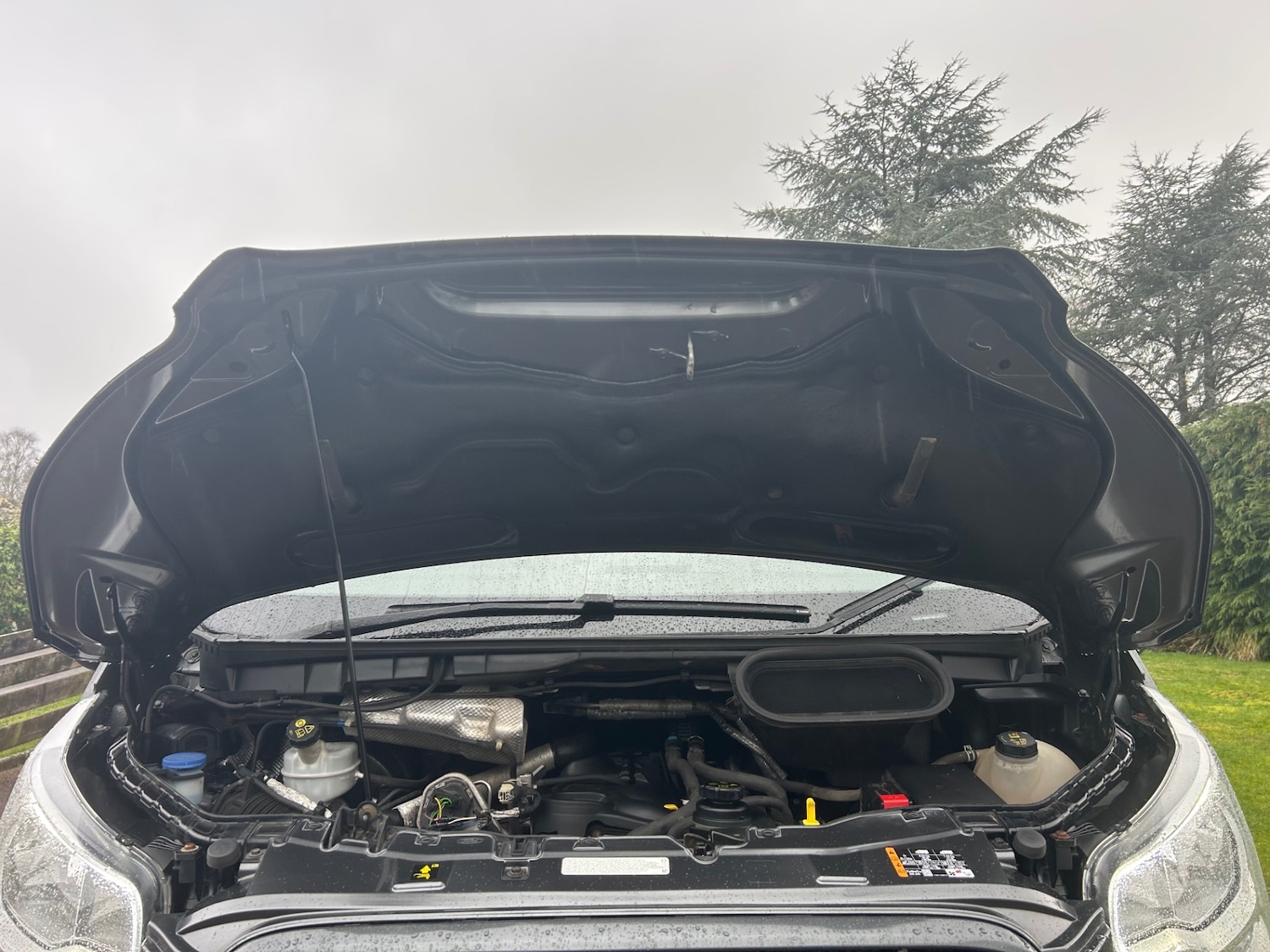 Used Ford Transit 2017 for sale - 77522365: Photo 10