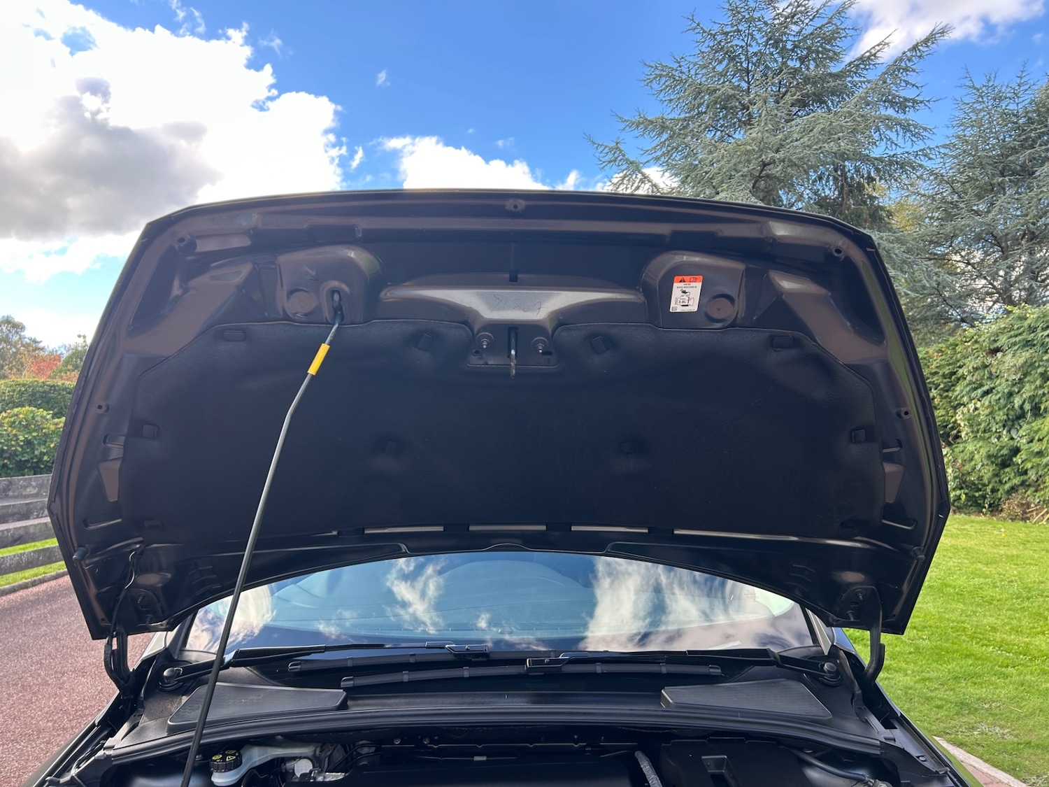 Used Ford Focus 2017 for sale - 76278084: Photo 12