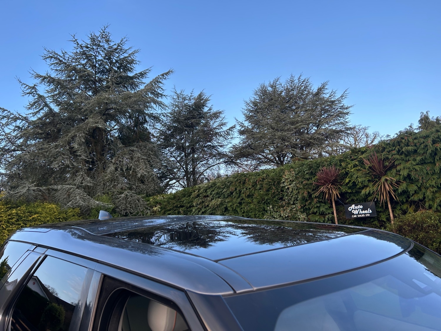 Used Land Rover Discovery 2017 for sale - 77015182: Photo 9