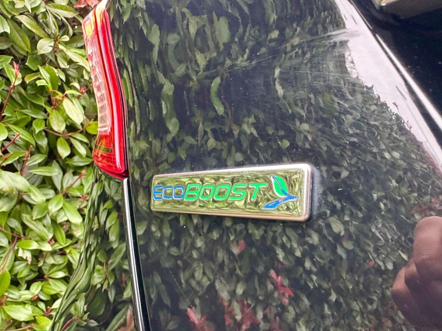 Used Ford Fiesta 2016 for sale - 78162657: Photo 10