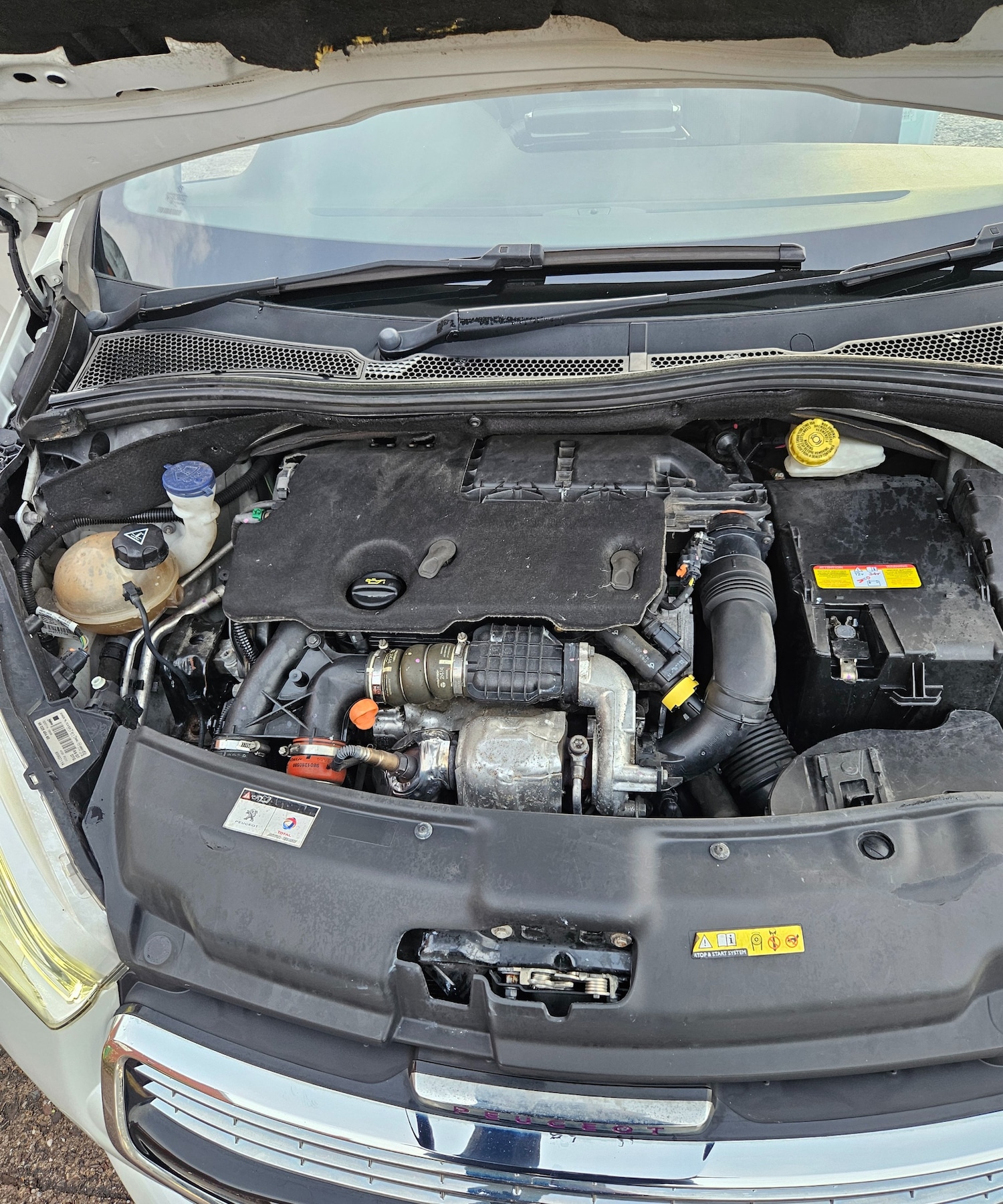 Used Peugeot 208 2014 for sale - 76480039: Photo 23