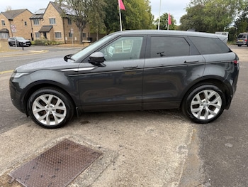 Used Land Rover Range Rover Evoque 2019 for sale - 79543294: Photo