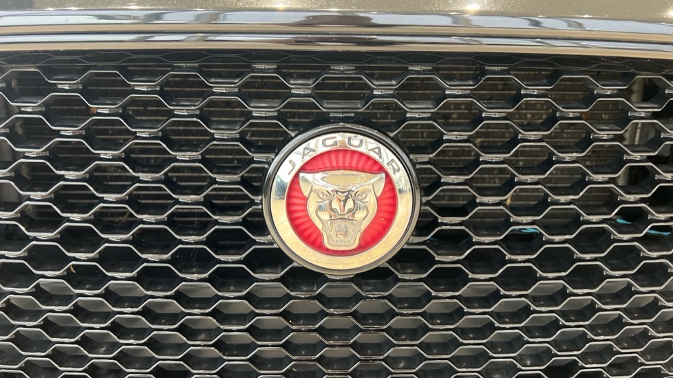 Used Jaguar XF 2021 for sale - 76937579: Photo 37