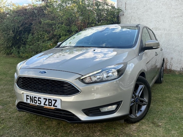 Used Ford Focus 2015 for sale - 76202465: Photo 13