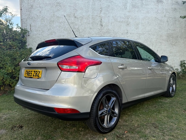 Used Ford Focus 2015 for sale - 76202465: Photo 15