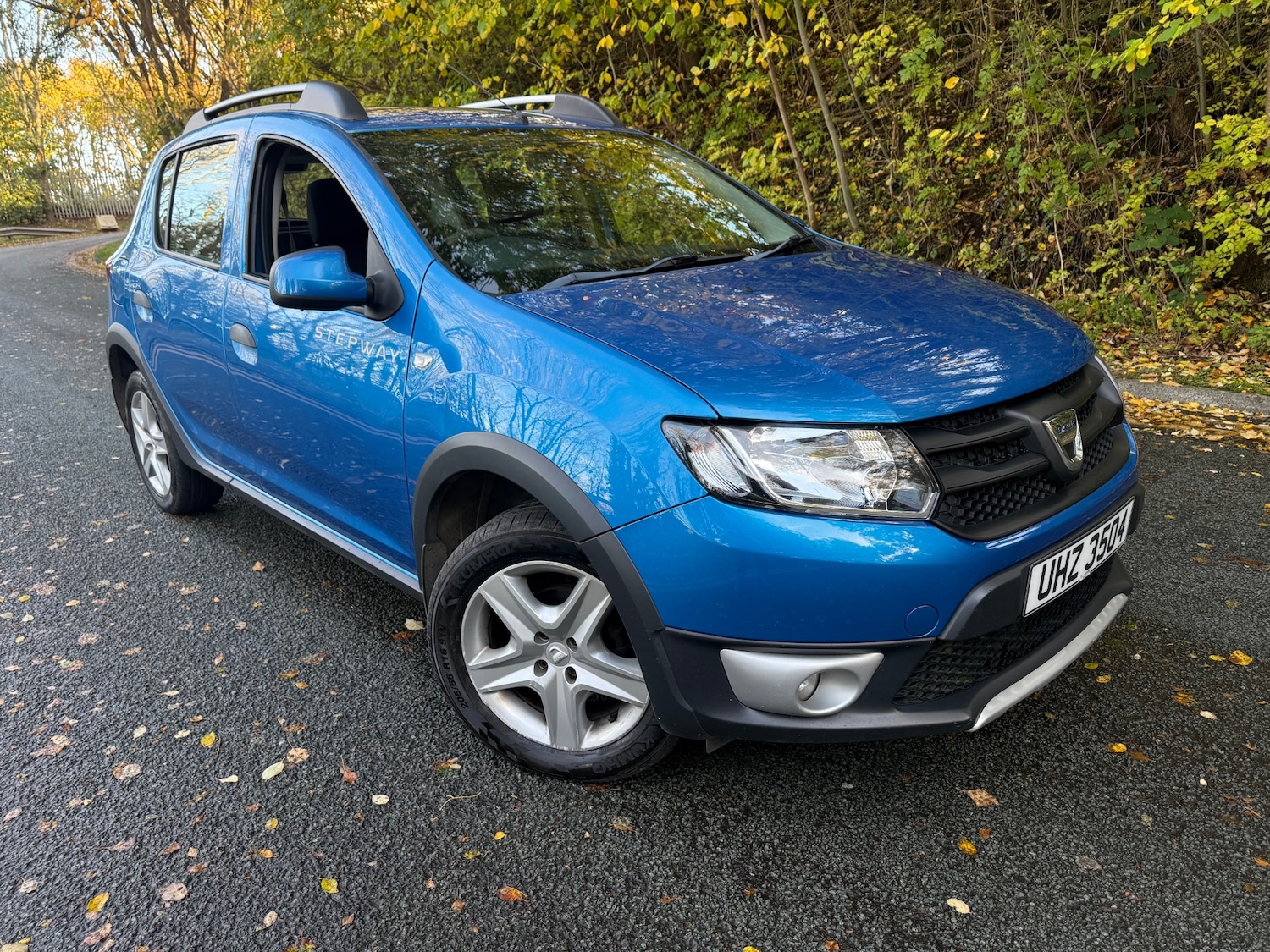 Used Dacia Sandero Stepway 2016 for sale - 76446064: Photo 1