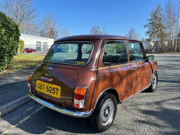 Used Austin Mini 1979 for sale - 79598521: Photo