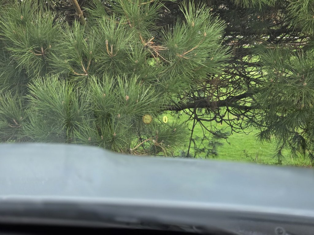 Used BMW M4 2015 for sale - 76950171: Photo 49