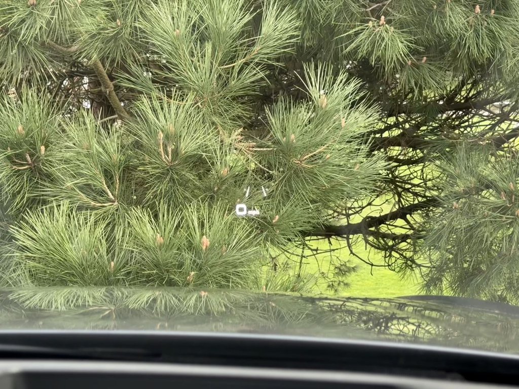 Used Audi Q5 2020 for sale - 77631902: Photo 34