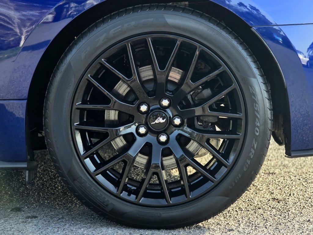 Used Ford Mustang 2016 for sale - 77792269: Photo 29