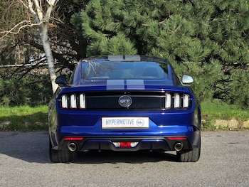 Used Ford Mustang 2016 for sale - 77792269: Photo