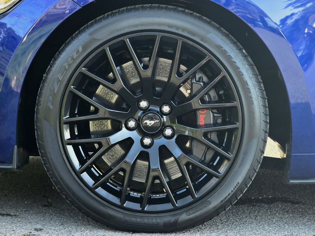 Used Ford Mustang 2016 for sale - 77792269: Photo 9