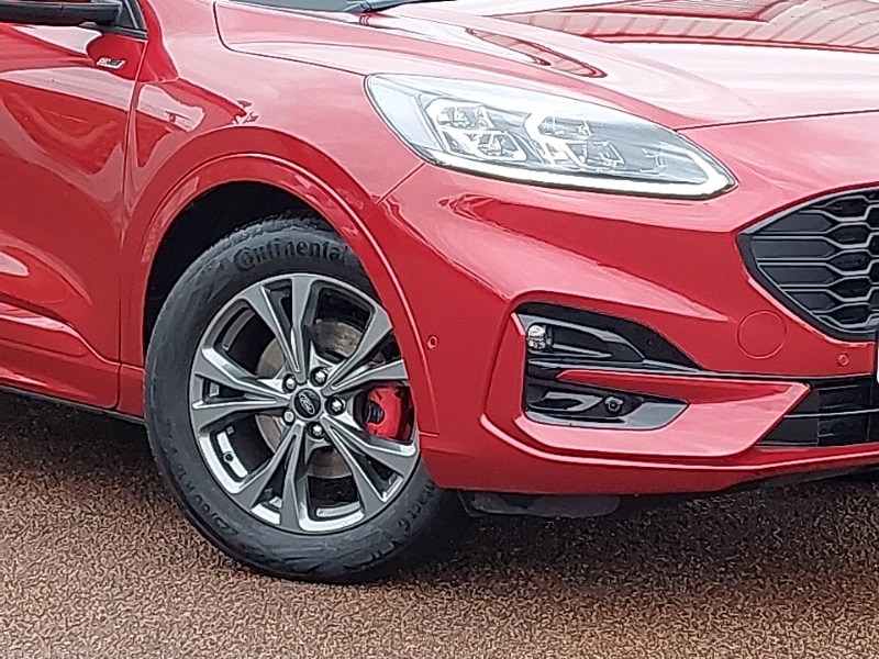 Used Ford Kuga 2023 for sale - 77031922: Photo 9