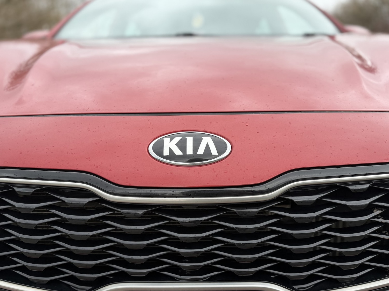 Used Kia Sportage 2016 for sale - 77603329: Photo 28