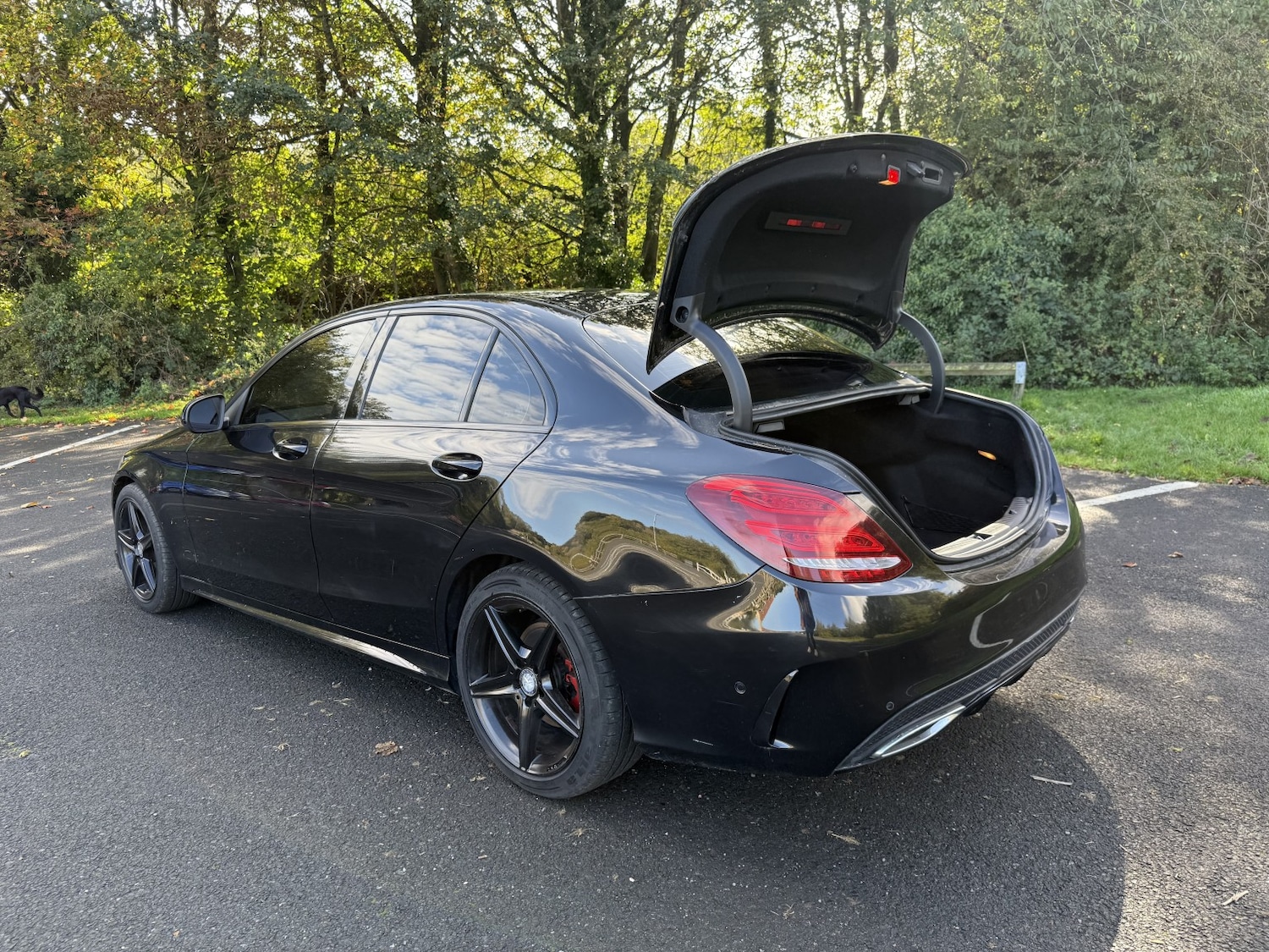 Used Mercedes-Benz C Class 2014 for sale - 76794369: Photo 81
