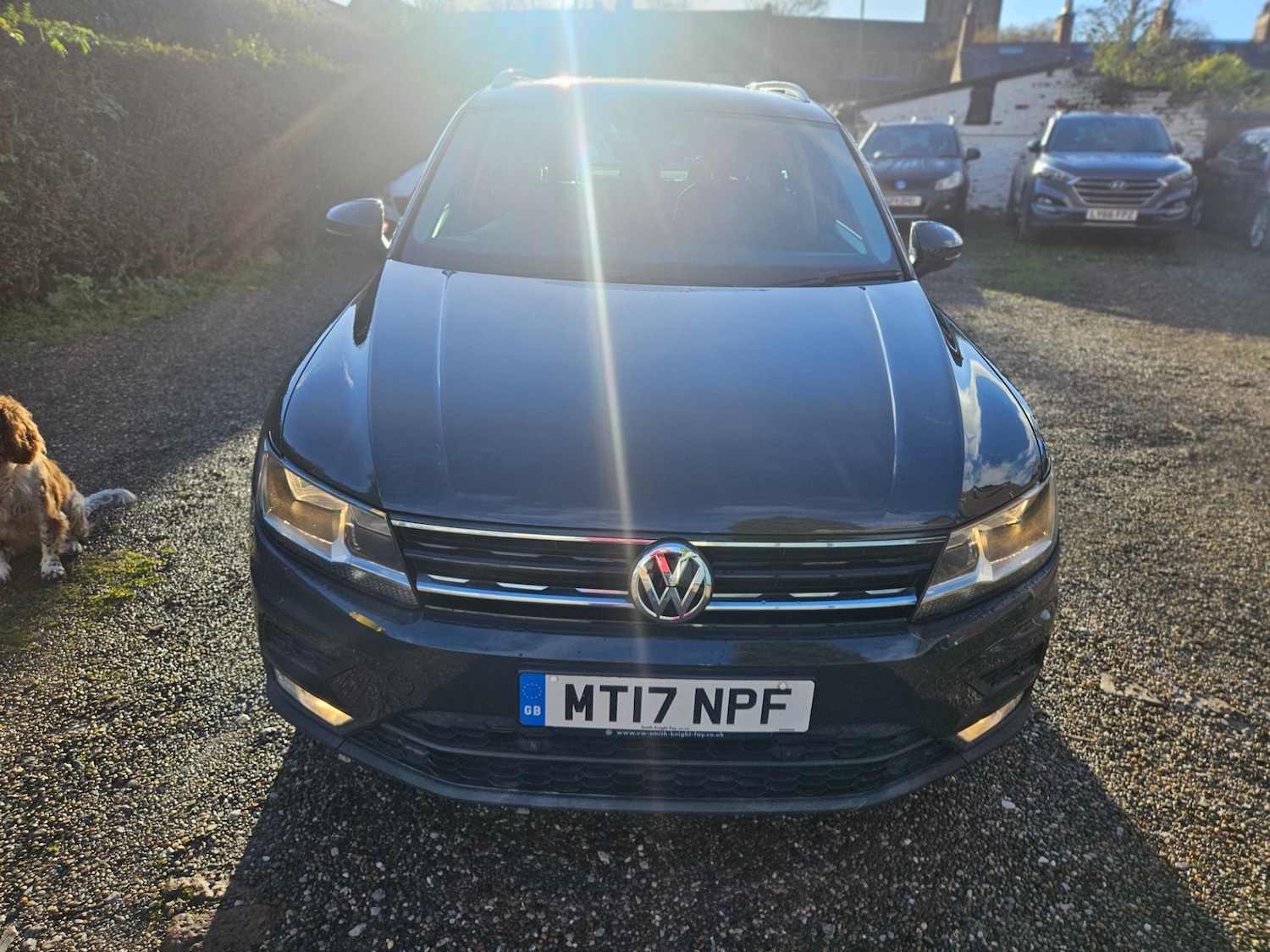 Used Volkswagen Tiguan 2017 for sale - 76723381: Photo 2