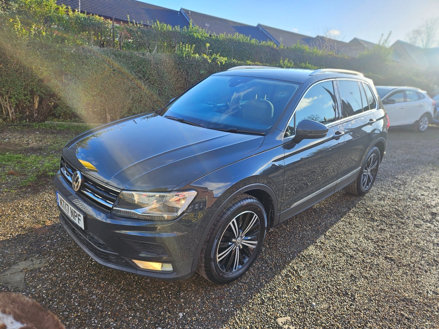 Used Volkswagen Tiguan 2017 for sale - 76723381: Photo 3