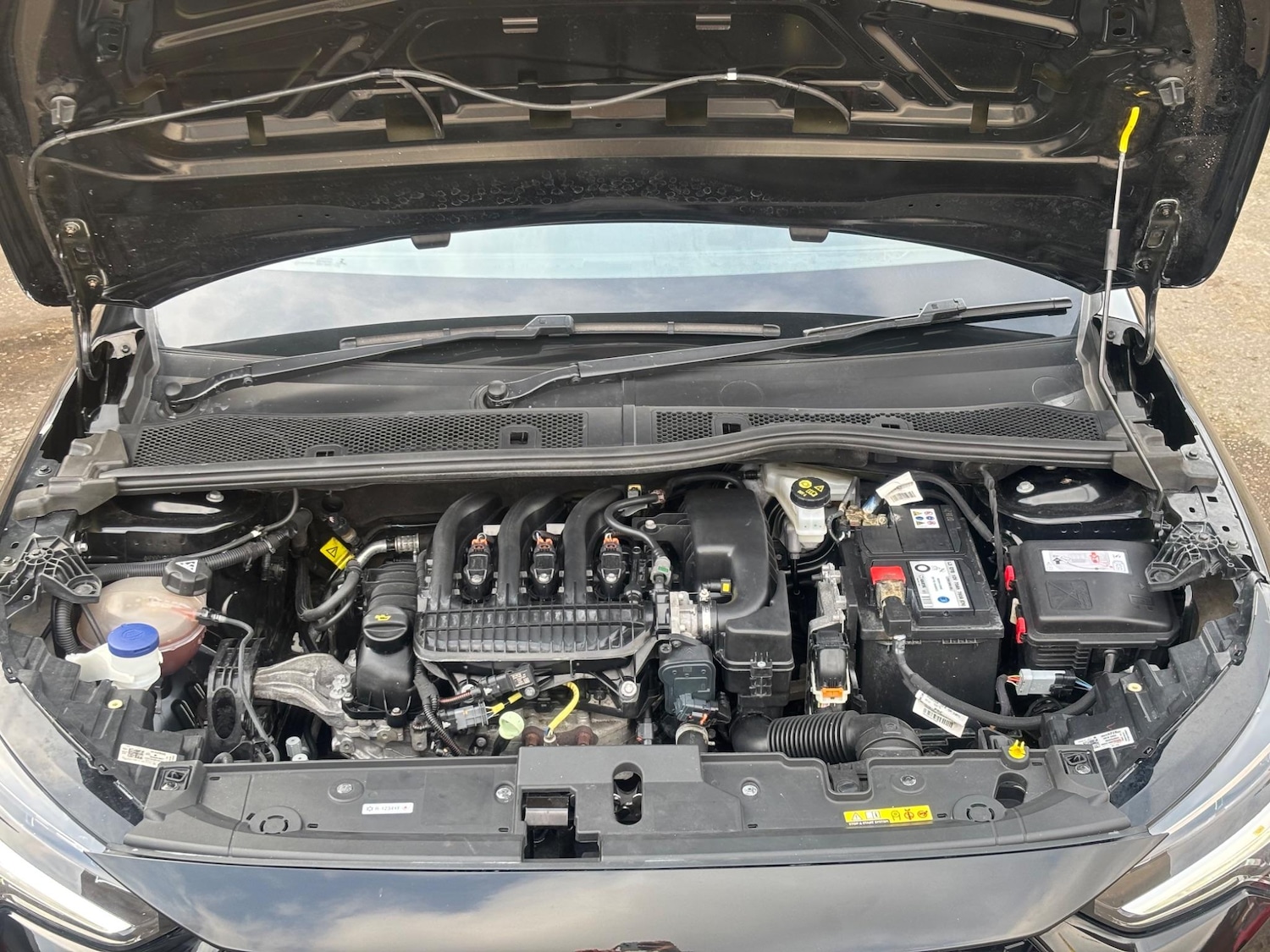 Vehicle 81