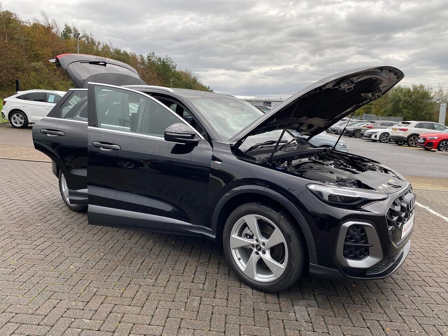 Used Audi Q5 2025 for sale - 76719383: Photo 39