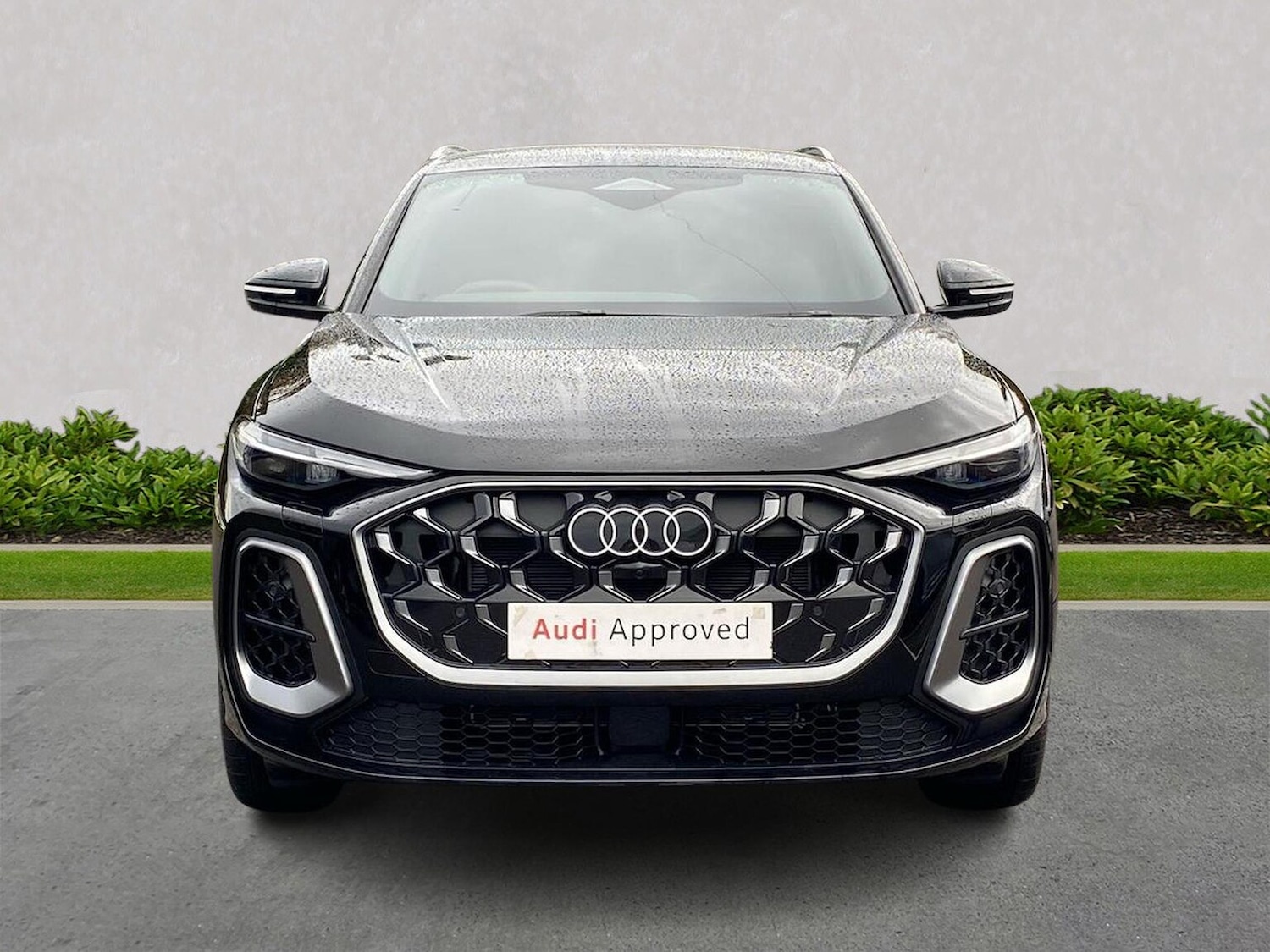 Used Audi Q5 2025 for sale - 76719383: Photo 5