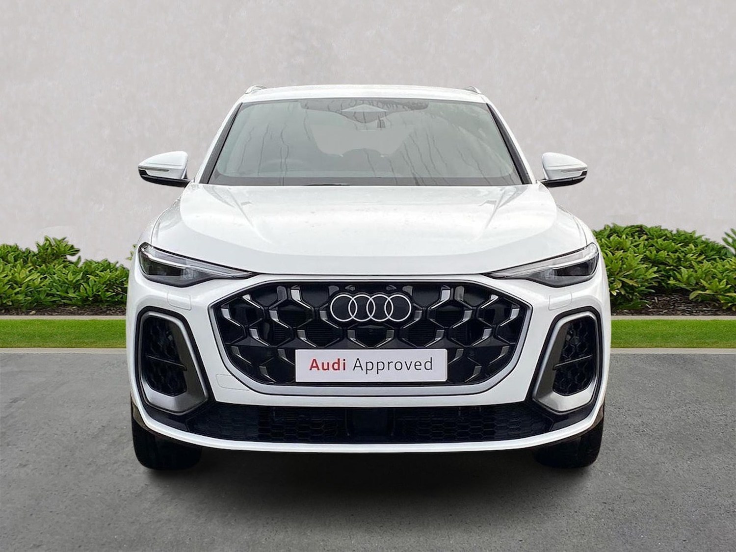 Used Audi Q5 2025 for sale - 77488963: Photo 5