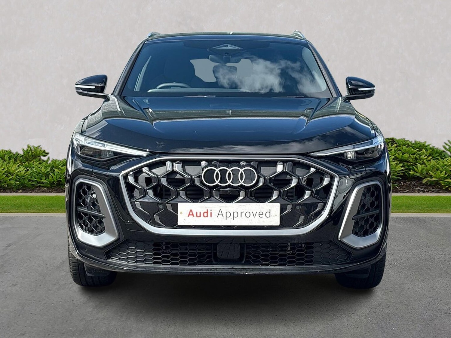 Used Audi Q5 2025 for sale - 76157255: Photo 5