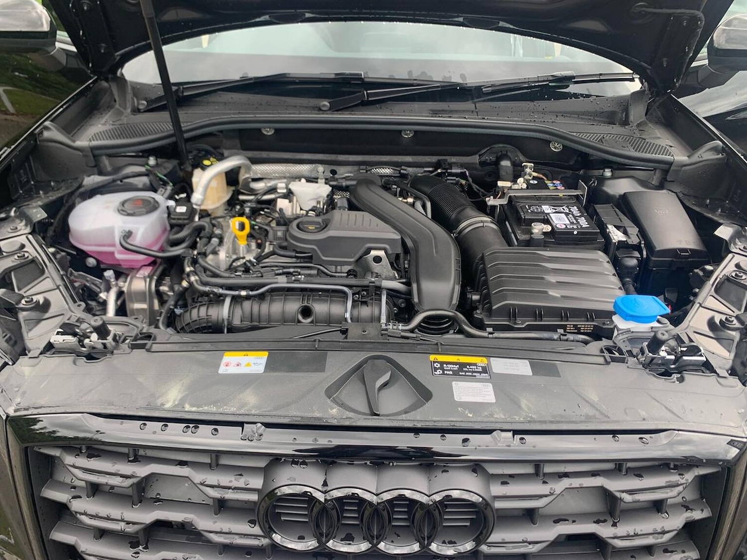 Used Audi Q2 2025 for sale - 76799316: Photo 39