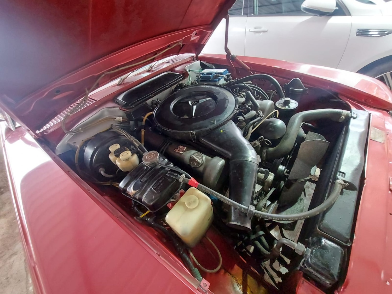 Used Mercedes-Benz 350 SL 1972 for sale - 77562519: Photo 7