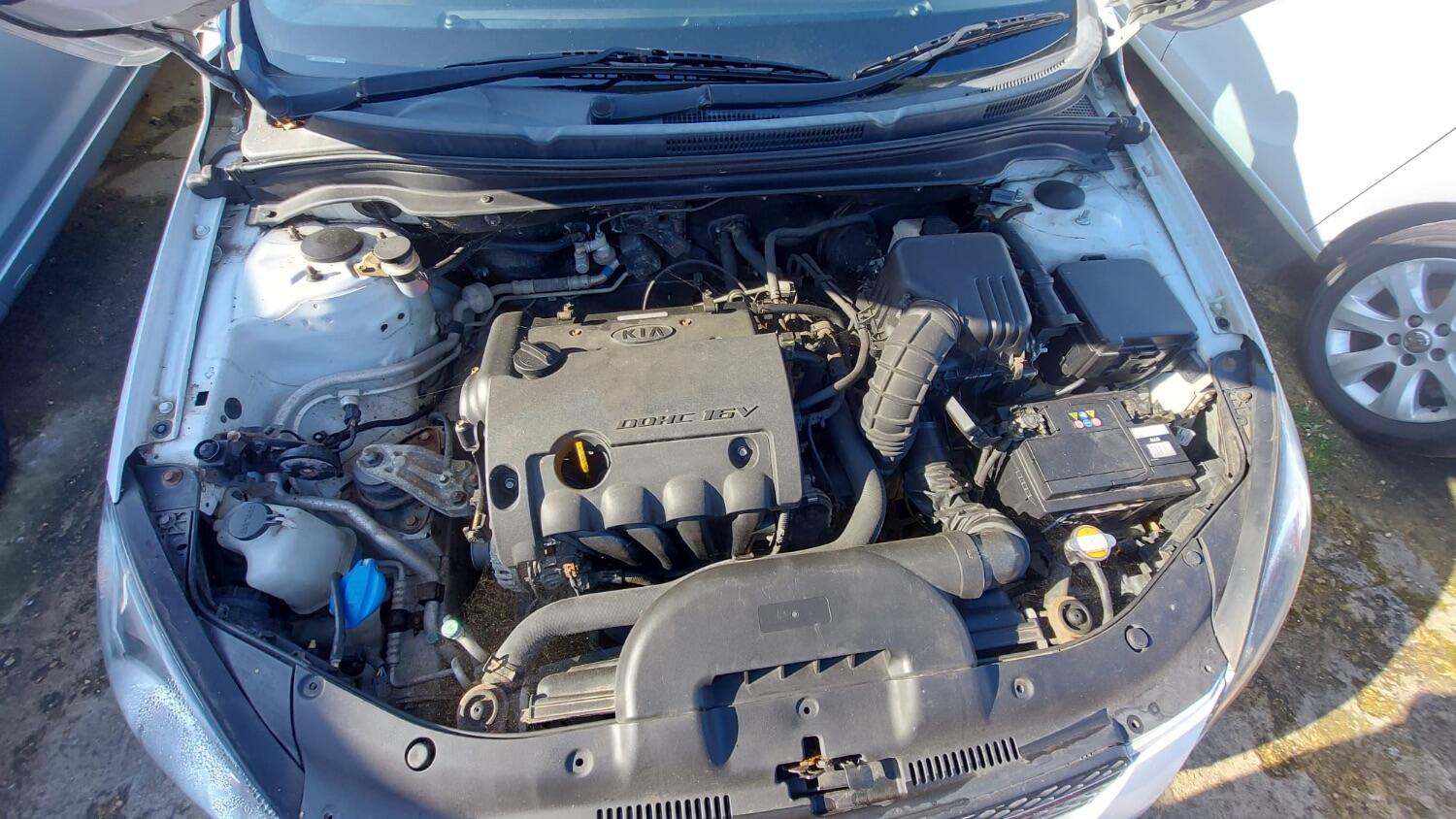 Used Kia Pro Ceed 2010 for sale - 77464688: Photo 17