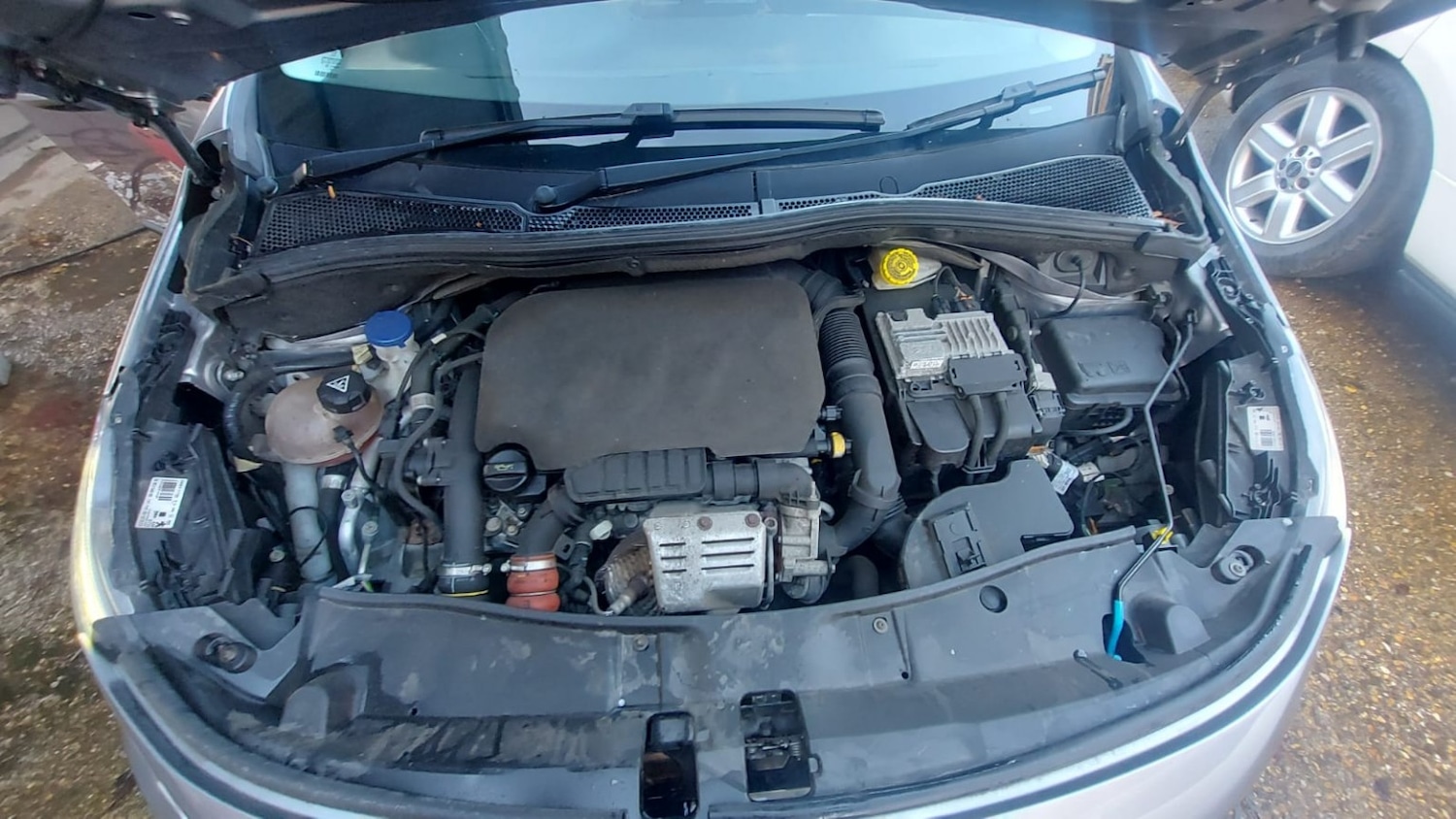 Used Peugeot 2008 2018 for sale - 76666143: Photo 20