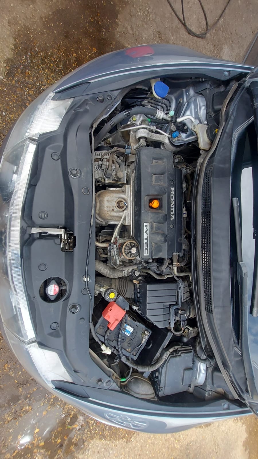 Vehicle 24