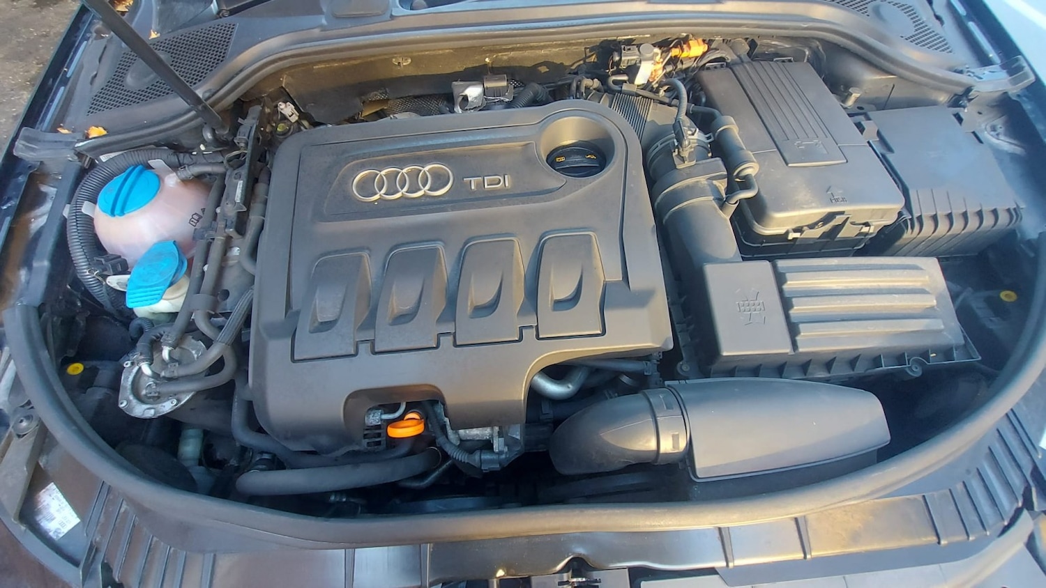 Used Audi A3 2010 for sale - 76579923: Photo 19